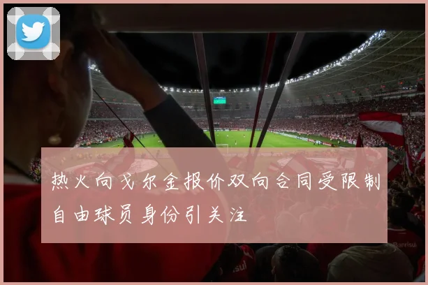 热火向戈尔金报价双向合同受限制自由球员身份引关注